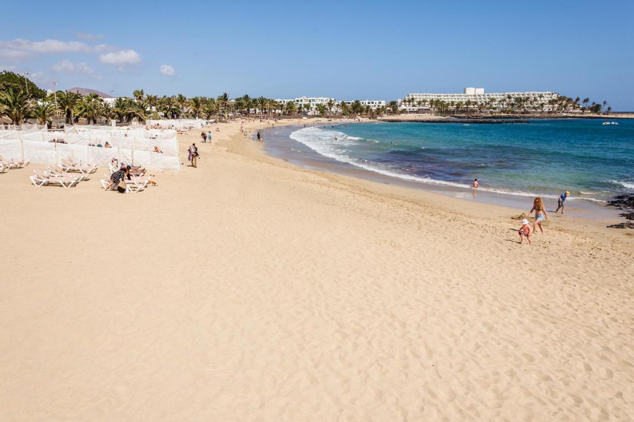 Conylanza Tabayba Blue *